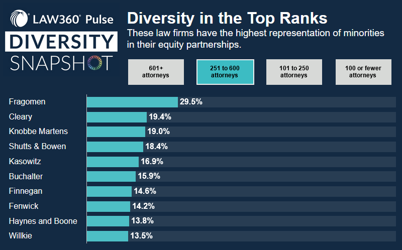 2021 Diversity Snapshot Table Partner Rankings
