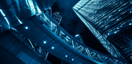 Shelly Wald Harris Presents to the Palm Beach County Estate Planning Council