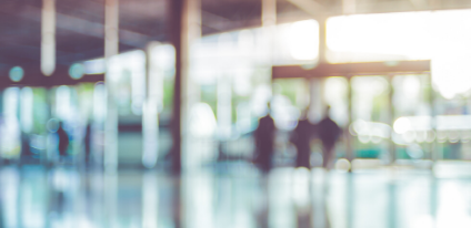 Ella Shenhav Guest Lectures at University of South Florida